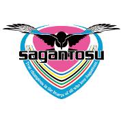 鸟栖砂岩